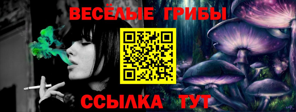 Щёлково  Галлюциногенные грибы GOLDEN TEACHER  Вход с VPN 